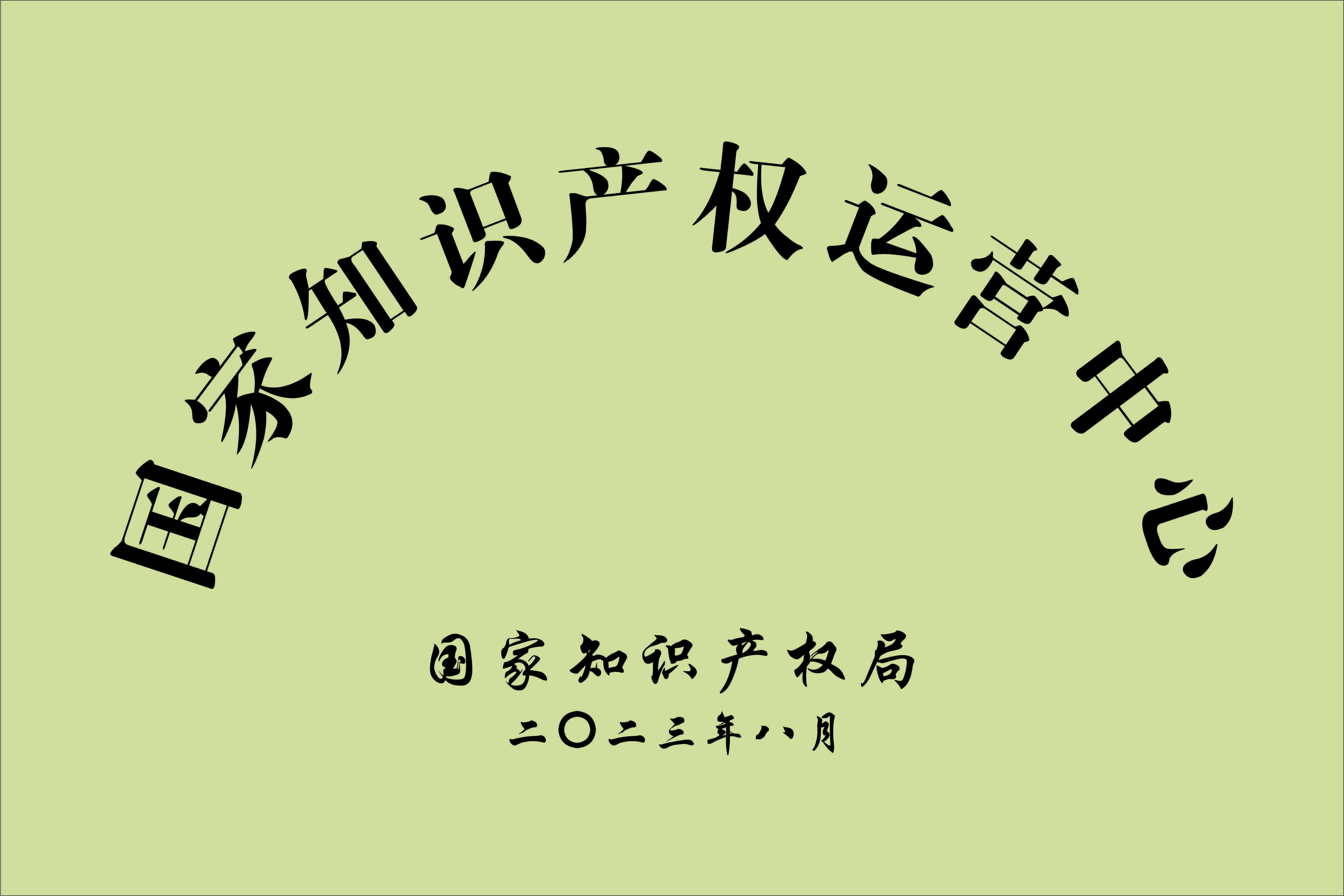 国家航空产业