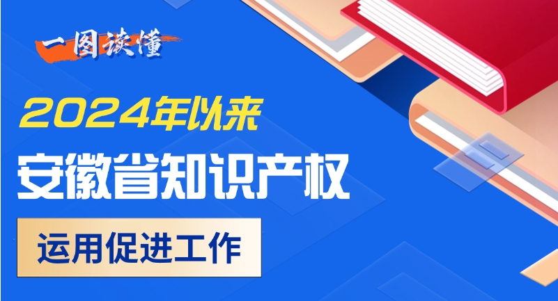 一图读懂 | 2024年以来安徽省知识产权运用促进工作